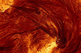 Our Best Look Yet at a Solar Flare Reveals the Sun’s Wilder Side