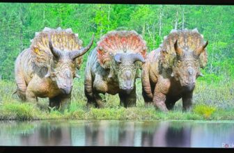 This LG TV is big on vivid colors but lacks details in the dark