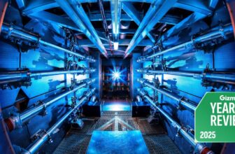 Nuclear Fusion Took Big Leaps in 2025. Here’s What Mattered Most